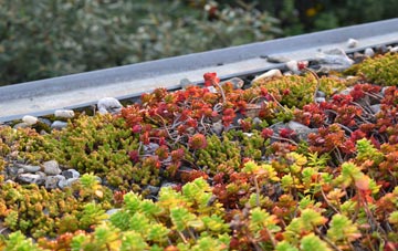 the cost of Low Fell green roof installation
