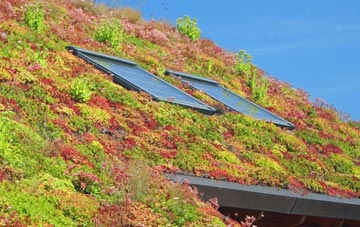 Low Fell living roof systems